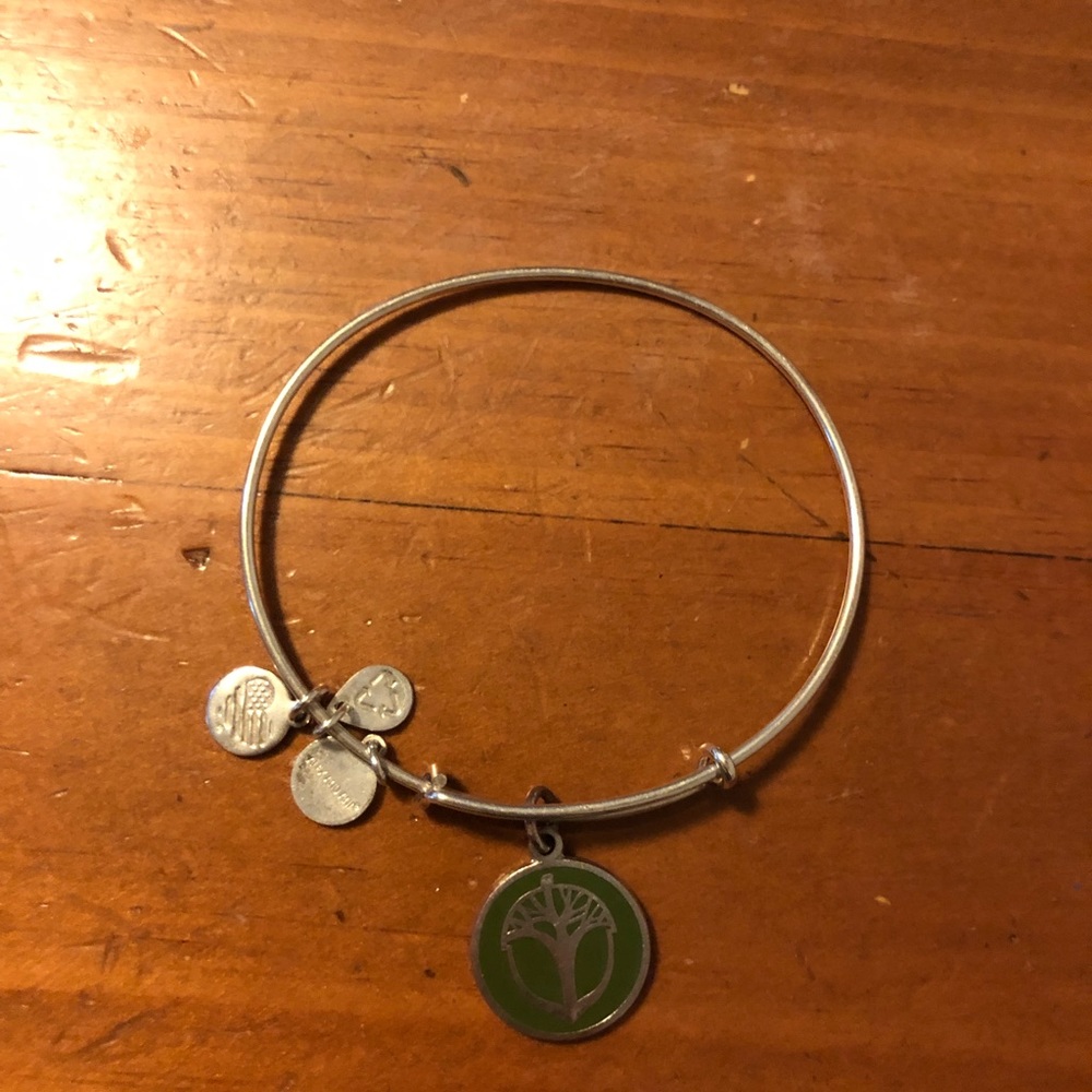 Alex and Ani Unexpected Miracles bracelet